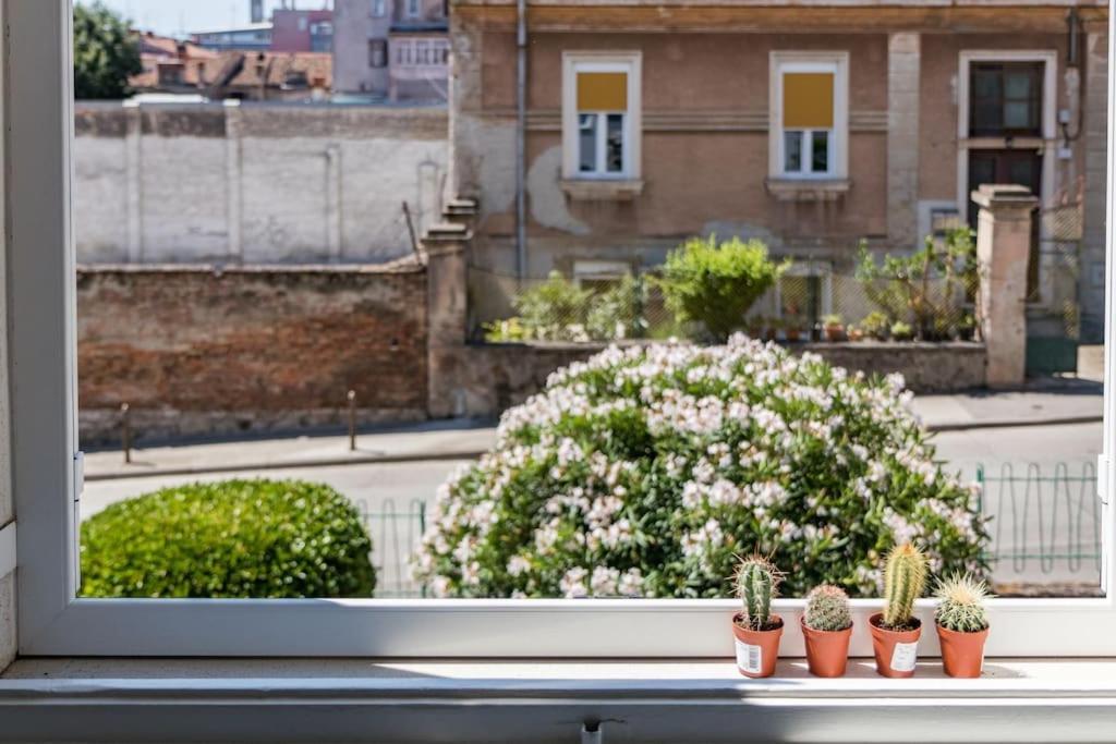 Quirky Apartment Arena With Parking بولا المظهر الخارجي الصورة